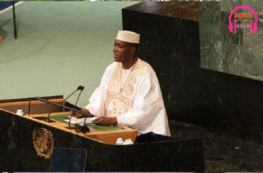 Sahel : Le mali restreint les activités des ONG subventionnées par la France