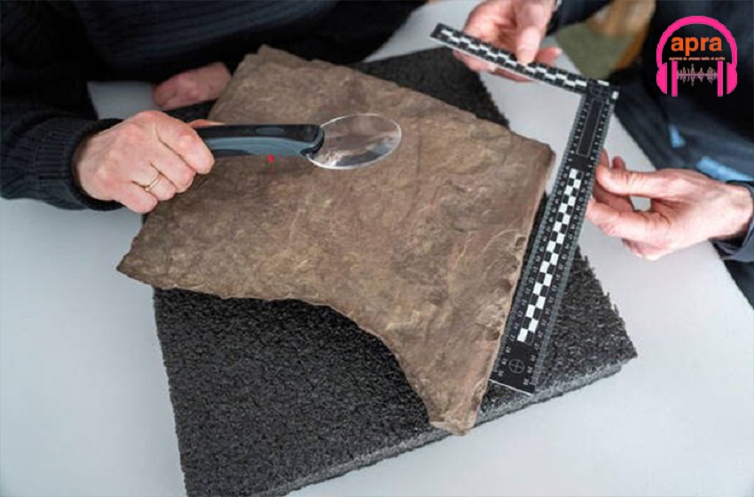 Sciences / Découverte en Norvège de la plus vieille pierre runique au monde