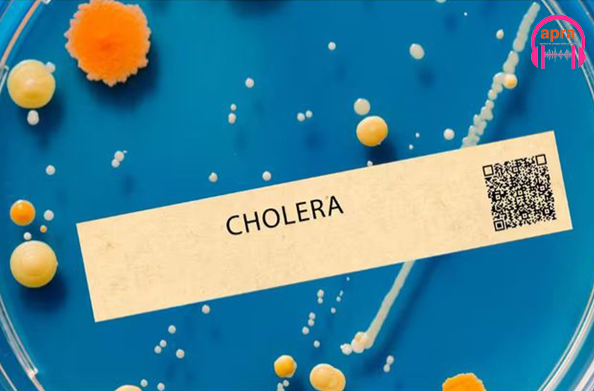 Mayotte /Santé: l’épidémie du choléra s’intensifie.