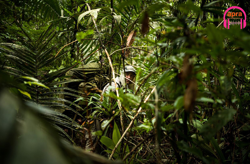 Brésil : Lutte contre la déforestation de l’Amazonie.
