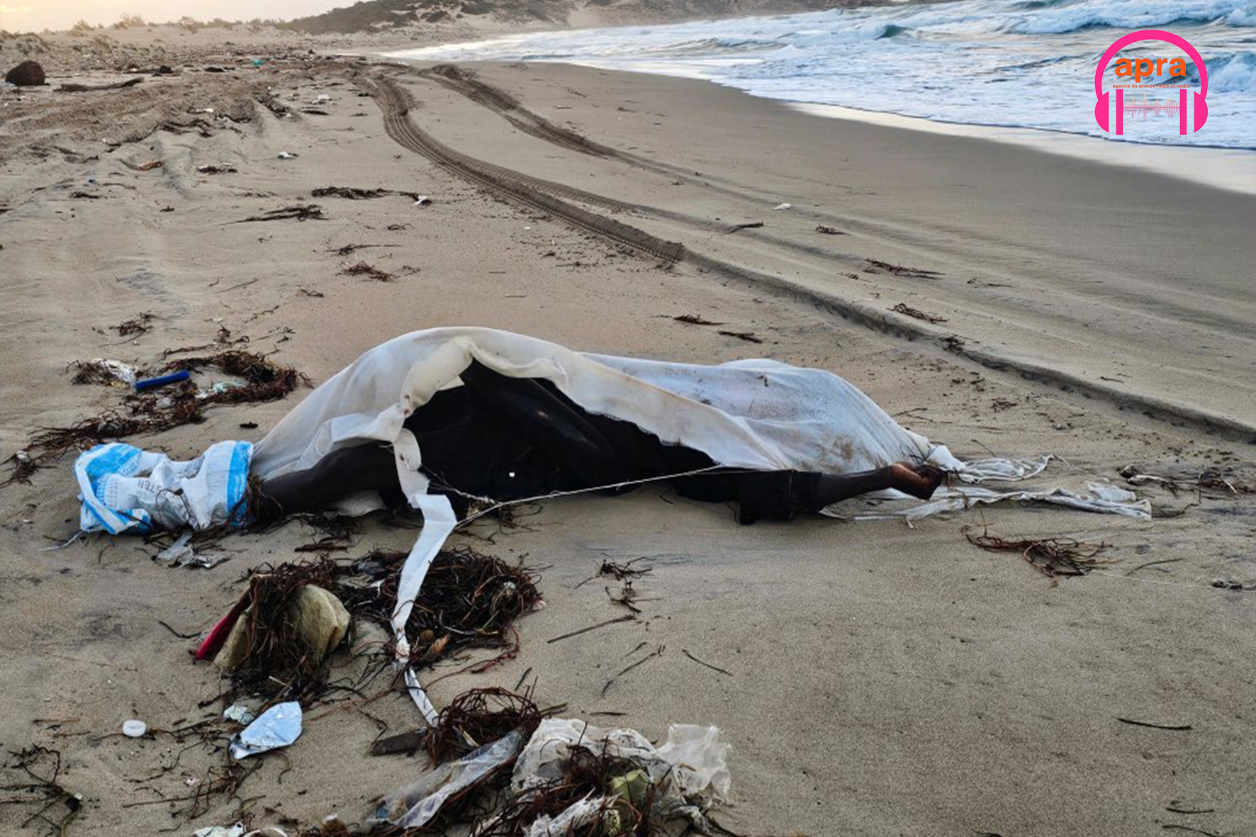 Immigration / Tempête en Méditerranée : des corps d’enfants parmi les victimes rejetées sur une plage libyenne.