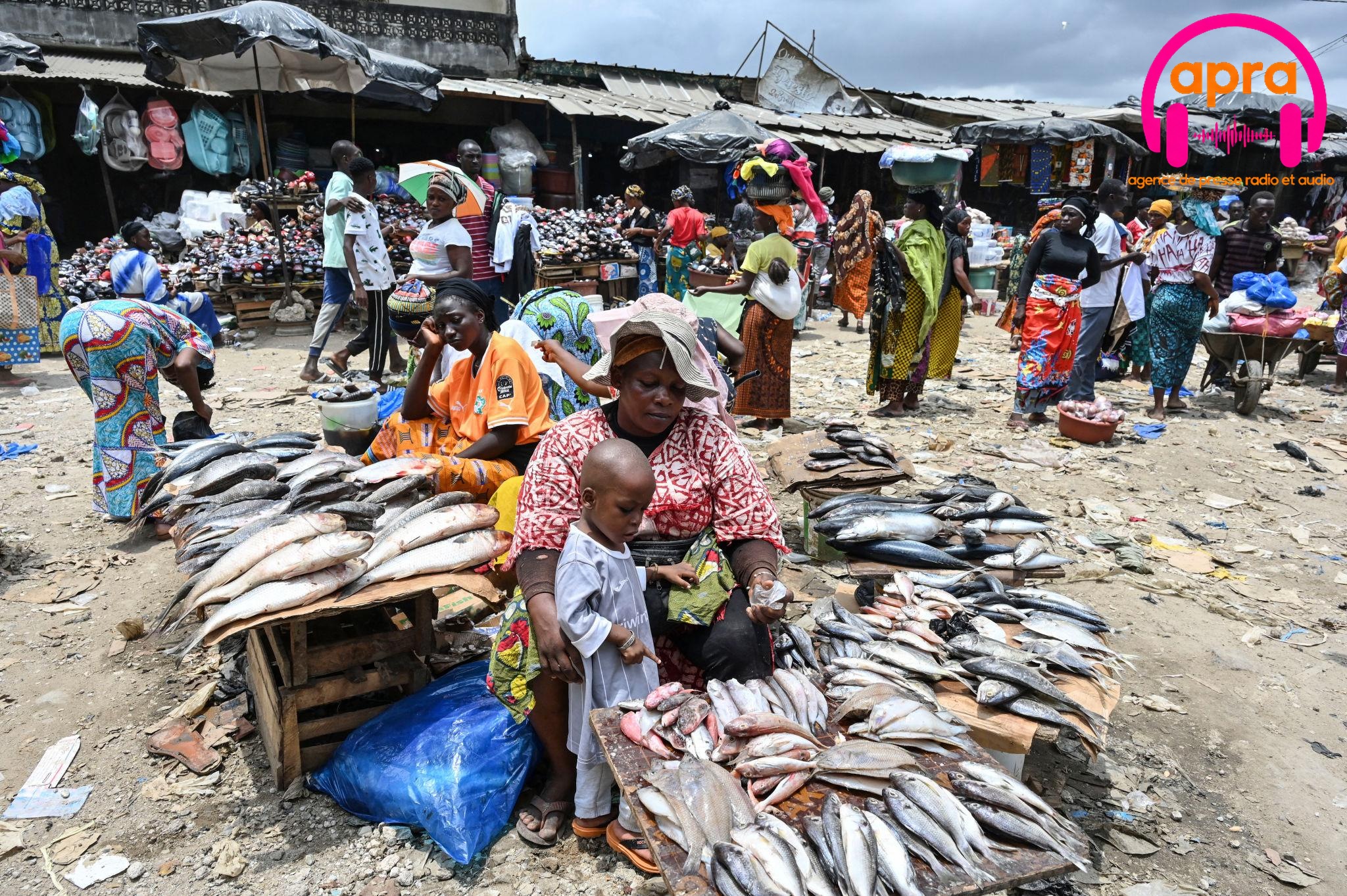Économie / Côte d'Ivoire : la hausse du prix du poisson mobilise les vendeuses à Abidjan et Daloa.