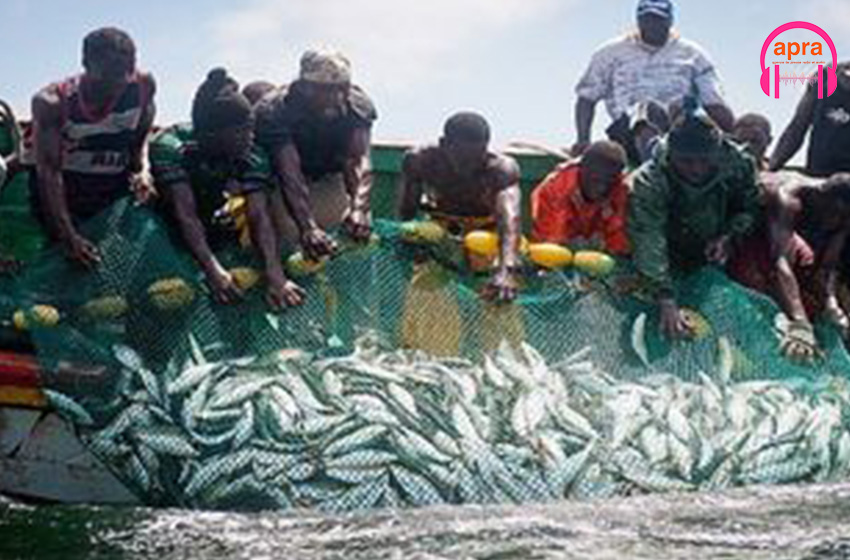 Pêche : l'État Sénégalais suspend les licences de pêches industrielles Entrer