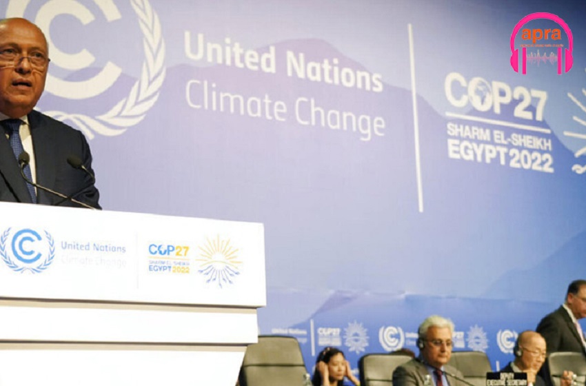 COP 27 en Egypte : les dégâts causés par les catastrophes climatiques au cœur des discussions