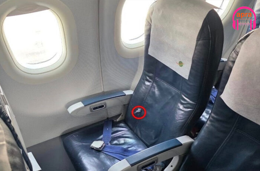 Transports : Des tirs nocturnes endommagent un avion d’Air Côte d’Ivoire à l’aéroport de Niamey.