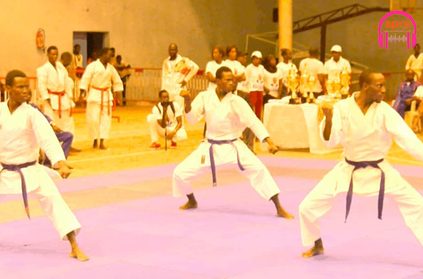 Sénégal : Les arts martiaux, le parent pauvre du sport