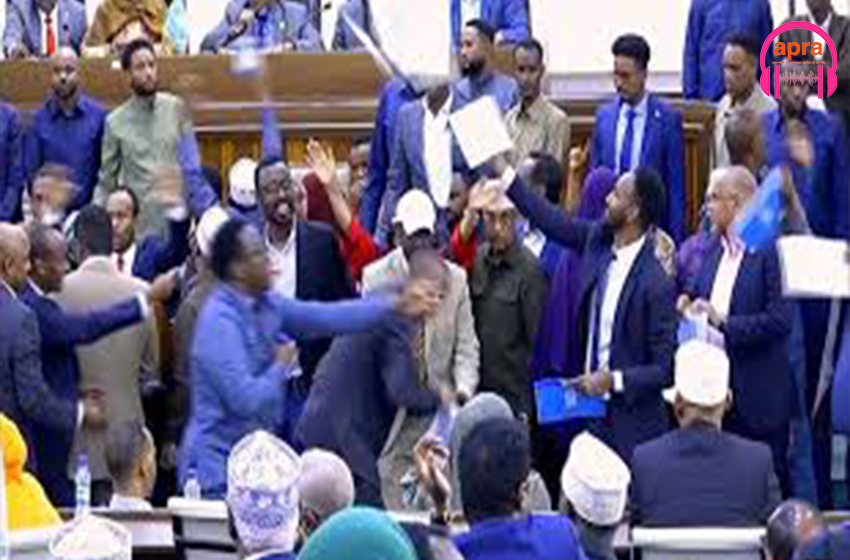 Chaos à Mogadiscio : La révision constitutionnelle vire au pugilat au Parlement somalien.