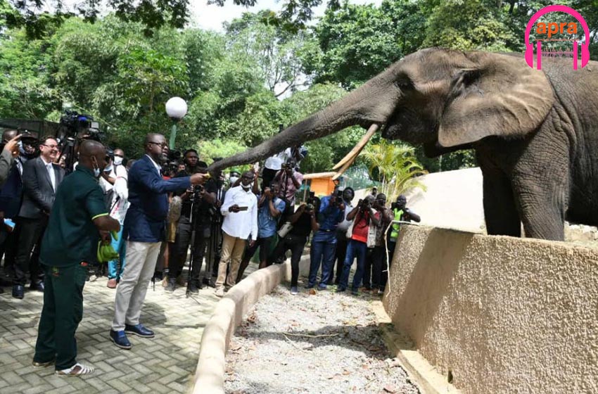 Réhabilitation du Zoo d’Abidjan : Nouveau visage, pour un nouveau prix.