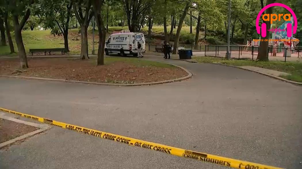 Diaspora / États-Unis : un adolescent ghanéen abattu sur le chemin de l'école à New York.
