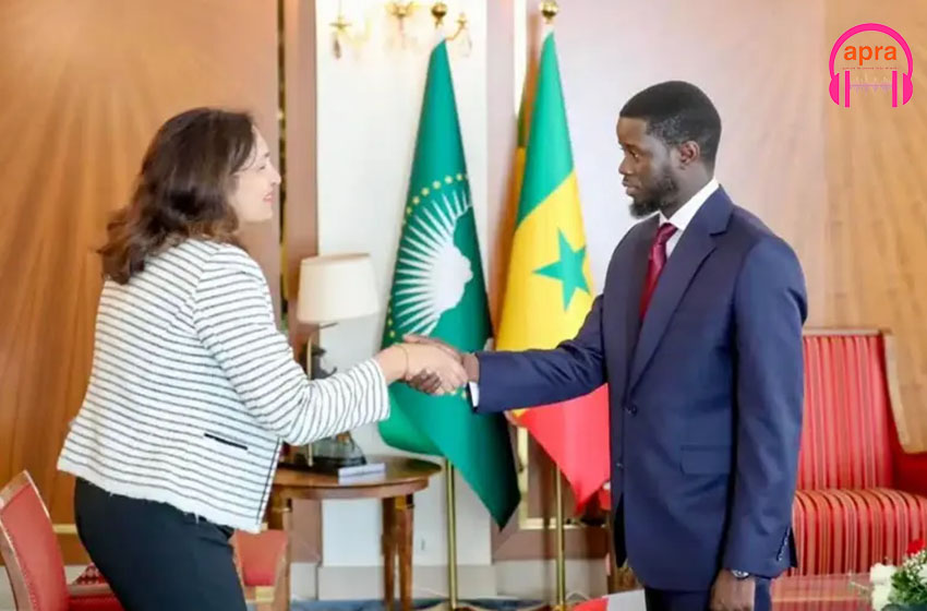 Diplomatie/Sénégal : Bassirou Diomaye Faye reçoit un émissaire de Joe Biden