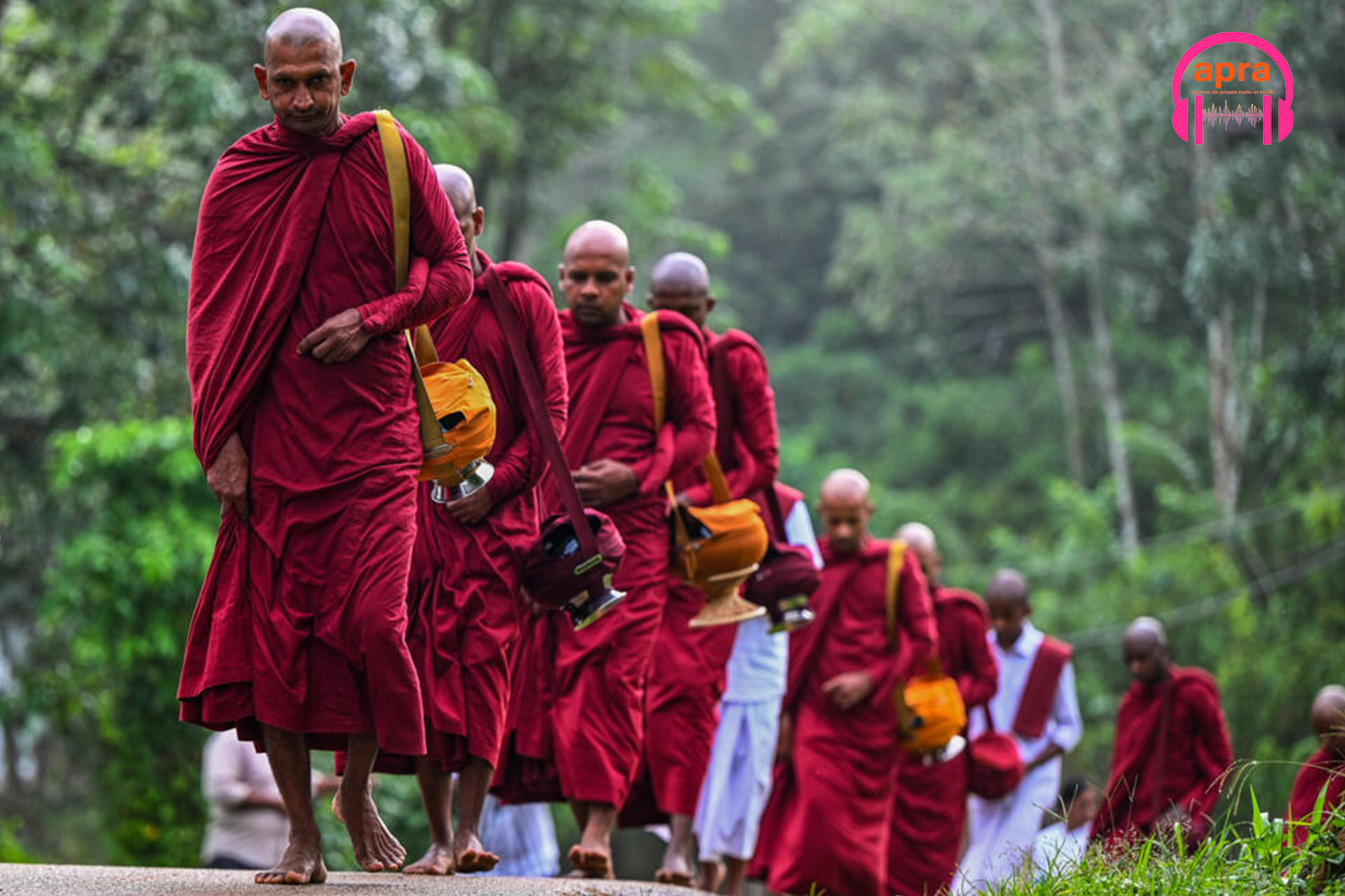 FAITS DIVERS / Sri Lanka : quand des moines bouddhistes franchissent la ligne rouge avec 110 kg de cannabis.