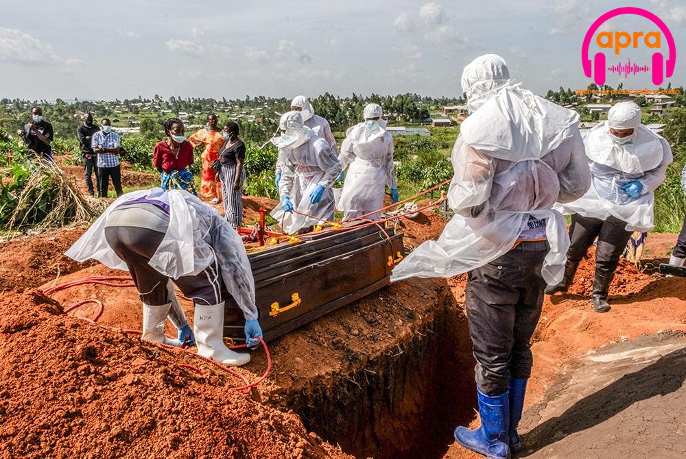Santé / RDC : plus de 10 000 cas d'Ebola et près de 4 900 morts.