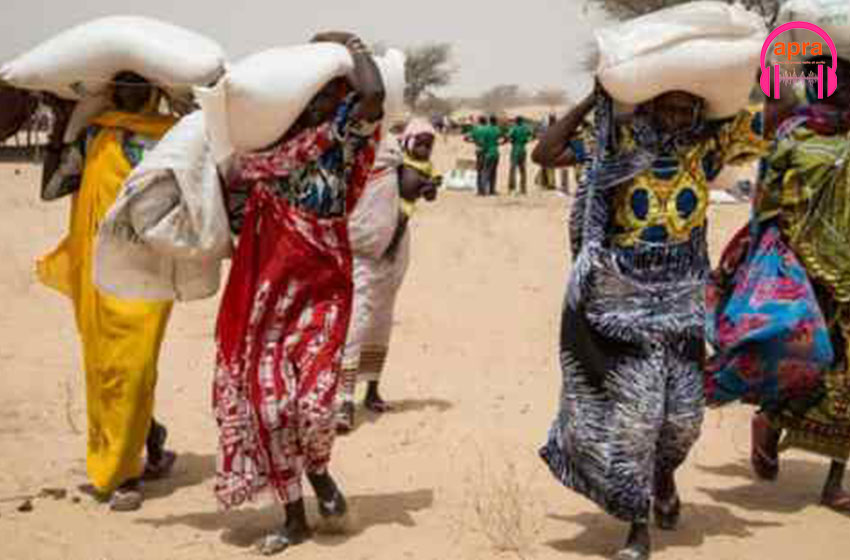Cherté de la vie au Tchad : insécurité alimentaire et la hausse des prix des céréales inquiets les ménages