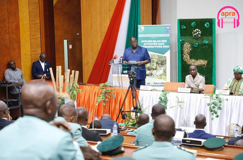 Environnement / Côte d’Ivoire : 100.000 hectares de reboisement en 2023 en ligne de mire