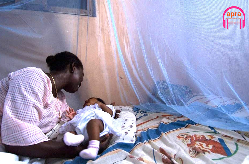 Lutte contre le paludisme : le gouvernement multiplie les initiatives pour éradiquer l’endémie